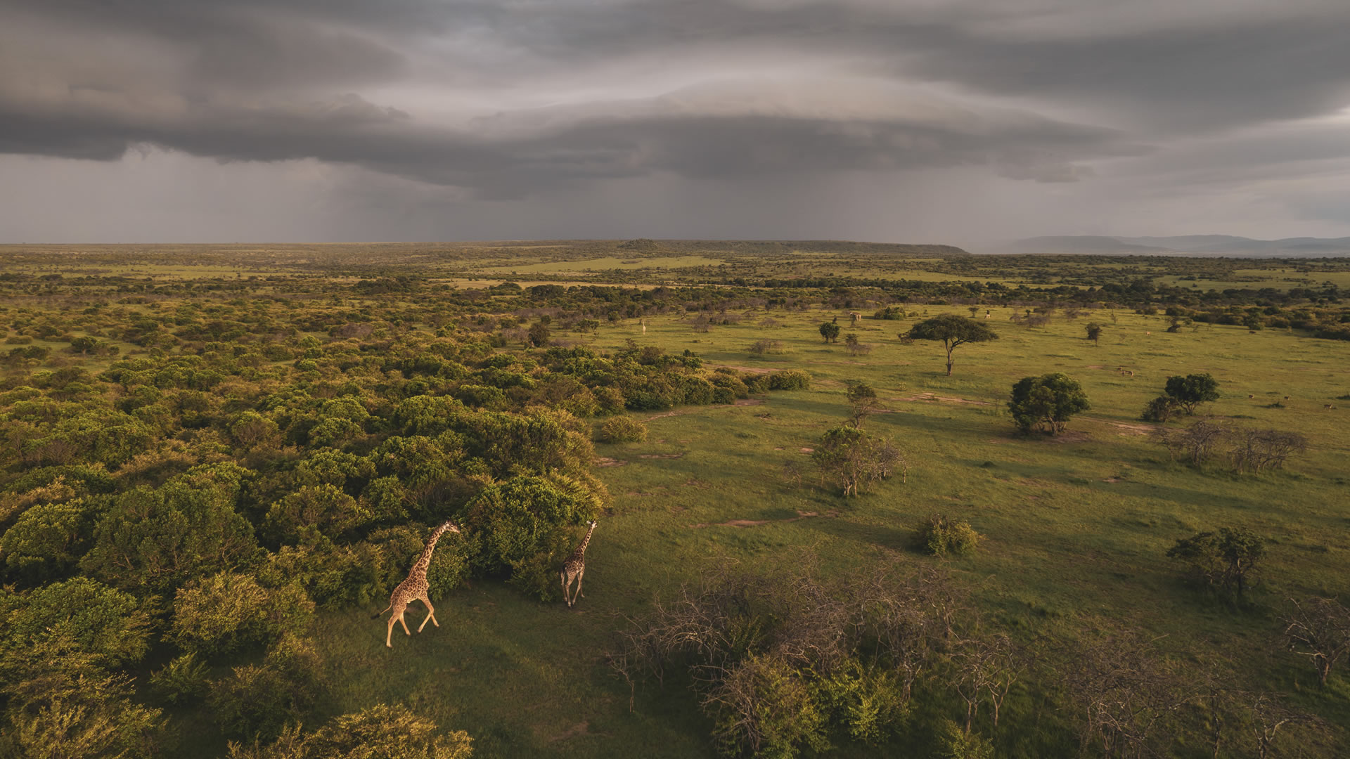 Lerai Safari Camp Location